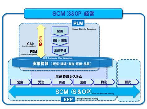 scm分析